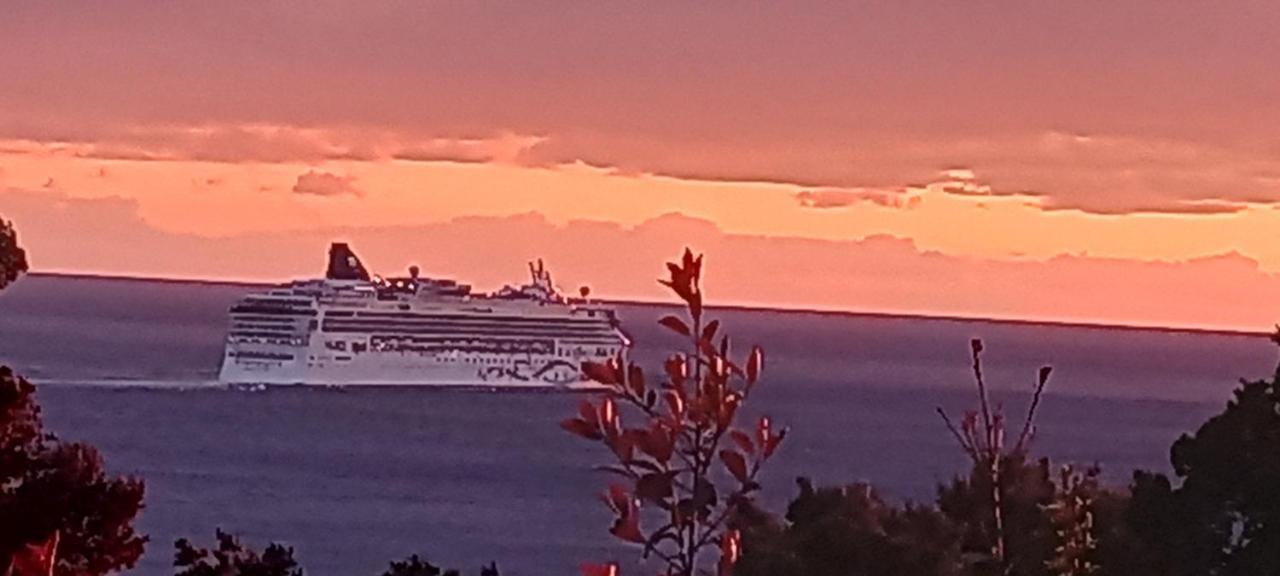Vila Pogled Bar Værelse billede